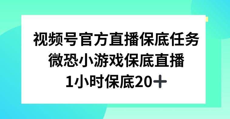 视频号直播任务，微恐小游戏，1小时20+【揭秘】-梦想波浪