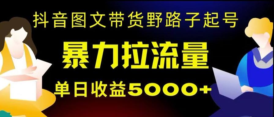 抖音图文带货暴力起号，单日收益5000+，野路子玩法，简单易上手，一部手机即可【揭秘】-梦想波浪
