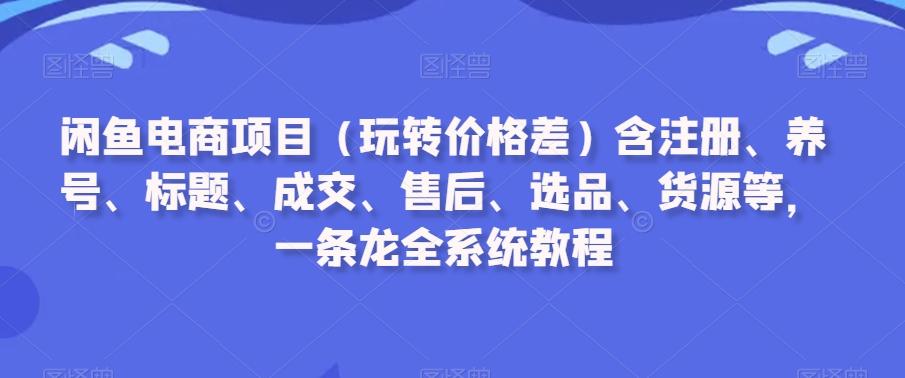 闲鱼电商项目(玩转价格差)含注册、养号、标题、成交、售后、选品、货源等，一条龙全系统教程-梦想波浪