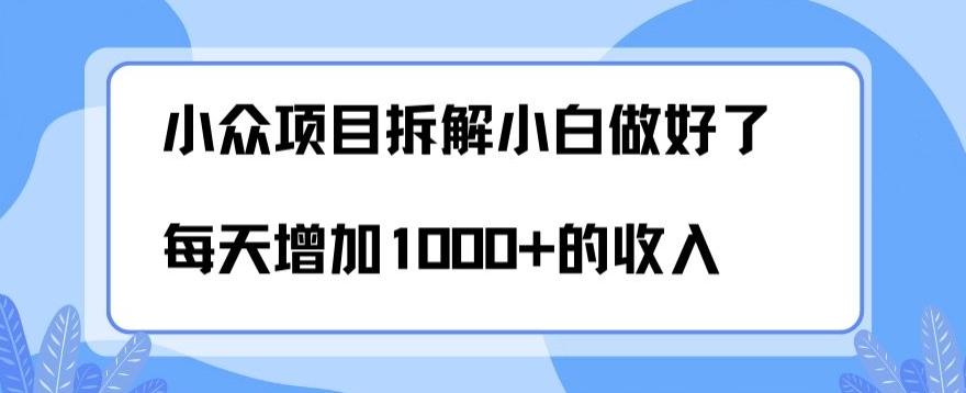 小众项目拆解，小白做好了每天可增加1000多的收入-梦想波浪