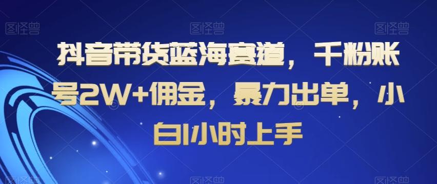 抖音带货蓝海赛道，千粉账号2W+佣金，暴力出单，小白1小时上手【揭秘】-梦想波浪