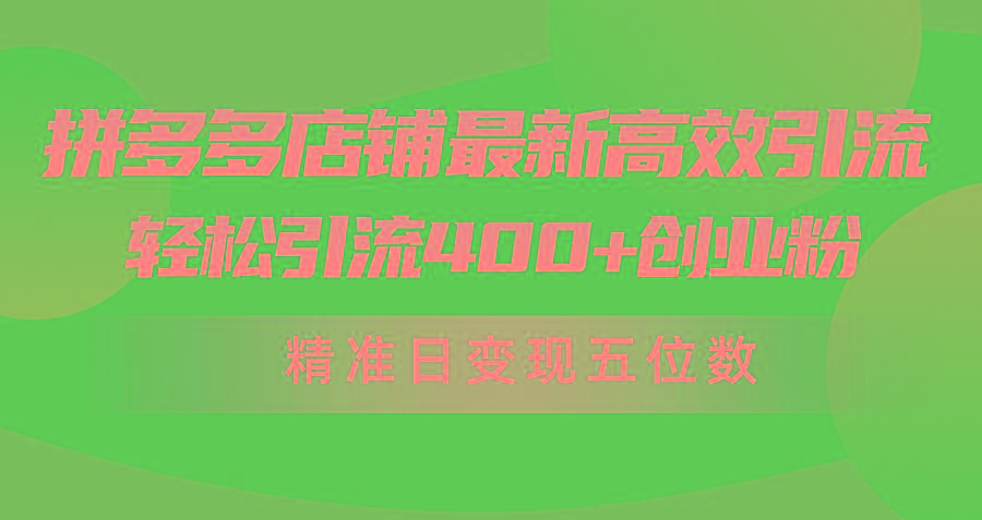(10041期)拼多多店铺最新高效引流术，轻松引流400+创业粉，精准日变现五位数！-梦想波浪
