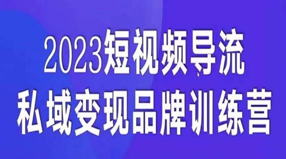 短视频导流·私域变现先导课，5天带你短视频流量实现私域变现-梦想波浪