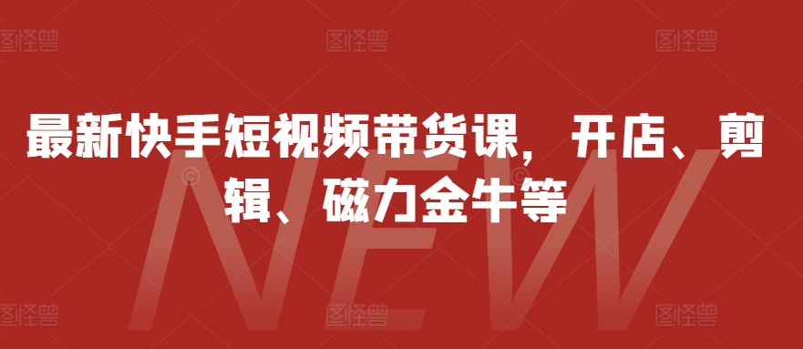 最新快手短视频带货课,开店、剪辑、磁力金牛等-梦想波浪
