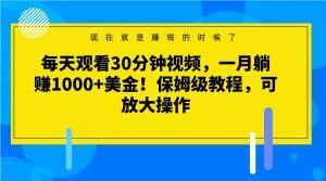 每天观看30分钟视频，一月躺赚1000+美金！保姆级教程，可放大操作【揭秘】-梦想波浪