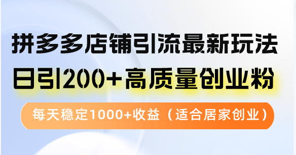 拼多多店铺引流最新玩法,日引200+高质量创业粉,每天稳定1000+收益(...-梦想波浪