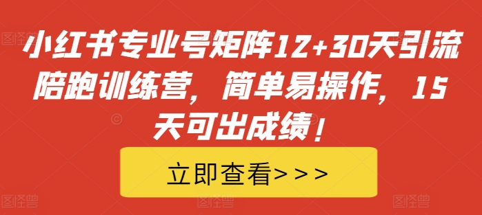 小红书专业号矩阵12+30天引流陪跑训练营，简单易操作，15天可出成绩!-梦想波浪