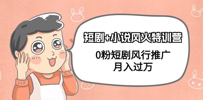 (9374期)短剧+小说风火特训营，0粉短剧风行推广，月入过万(102节课)-梦想波浪