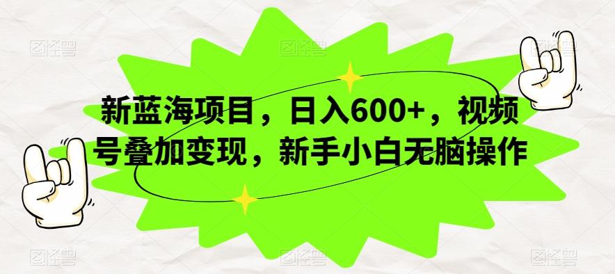 新蓝海项目，日入600+，视频号叠加变现，新手小白无脑操作【揭秘】-梦想波浪