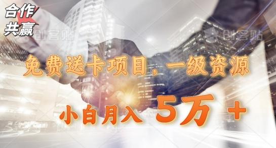 免费送卡项目，一级资源，小白月入5万+-梦想波浪