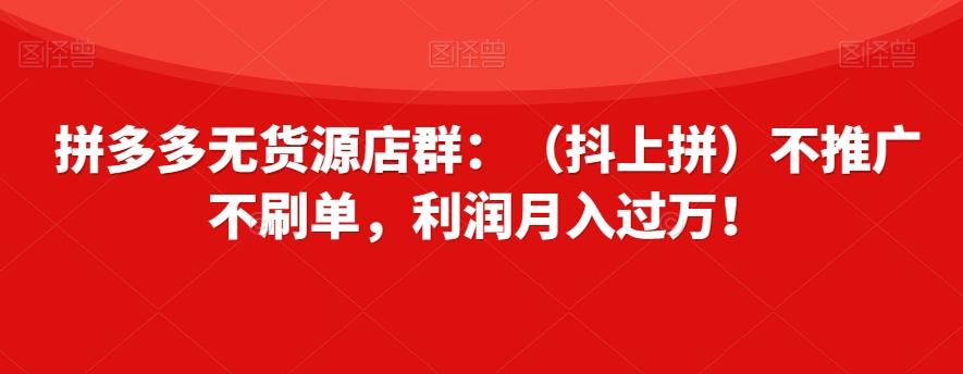 拼多多无货源店群：（抖上拼）不推广不刷单，利润月入过万！【揭秘】-梦想波浪