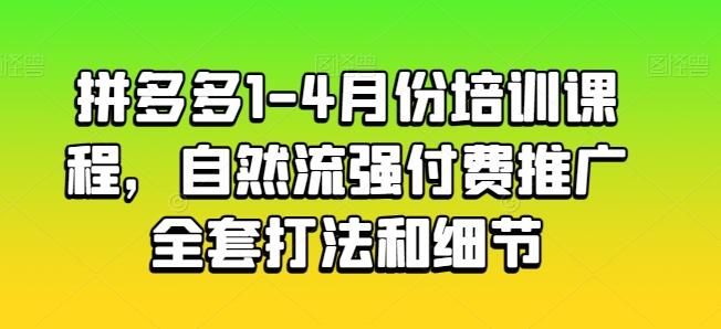 拼多多1-4月份培训课程,自然流强付费推广全套打法和细节-梦想波浪