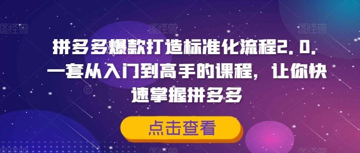 拼多多爆款打造标准化流程2.0，一套从入门到高手的课程，让你快速掌握拼多多-梦想波浪