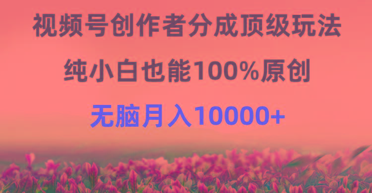 (9608期)视频号创作者分成顶级玩法，纯小白也能100%原创，无脑月入10000+-梦想波浪