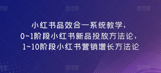 小红书品效合一系统教学,0~1阶段小红书新品投放方法论,1~10阶段小红书营销增长方法论-梦想波浪