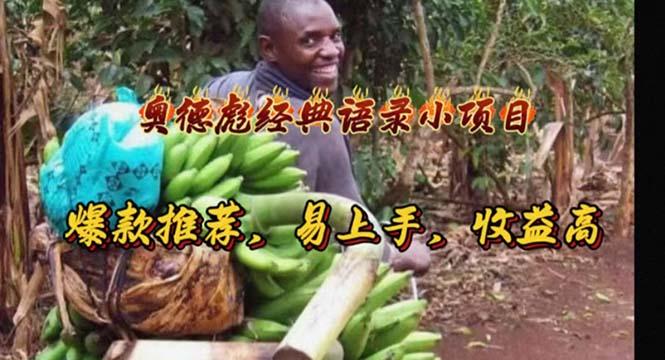 奥德彪经典语录小项目，爆款推荐，易上手，收益高-梦想波浪