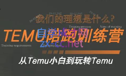 苗苗·拼多多跨境(temu)课程-梦想波浪