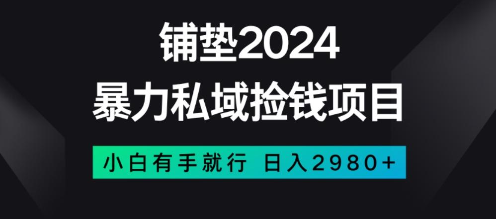 暴力私域捡钱项目，小白无脑操作，日入2980【揭秘】-梦想波浪