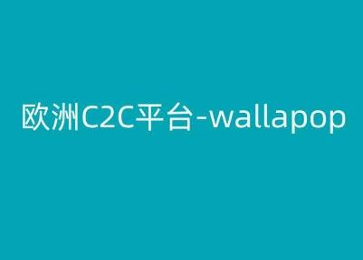 欧洲C2C平台-wallapop-kim跨境电商教程-梦想波浪