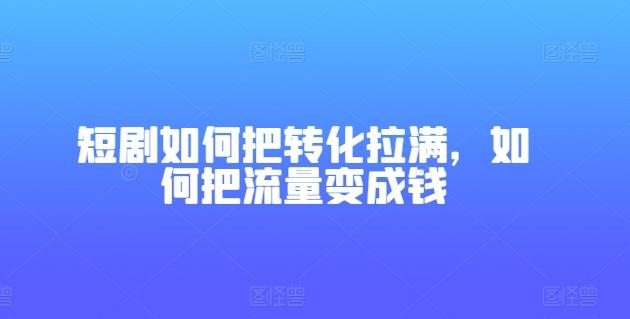 短剧如何把转化拉满，如何把流量变成钱-梦想波浪