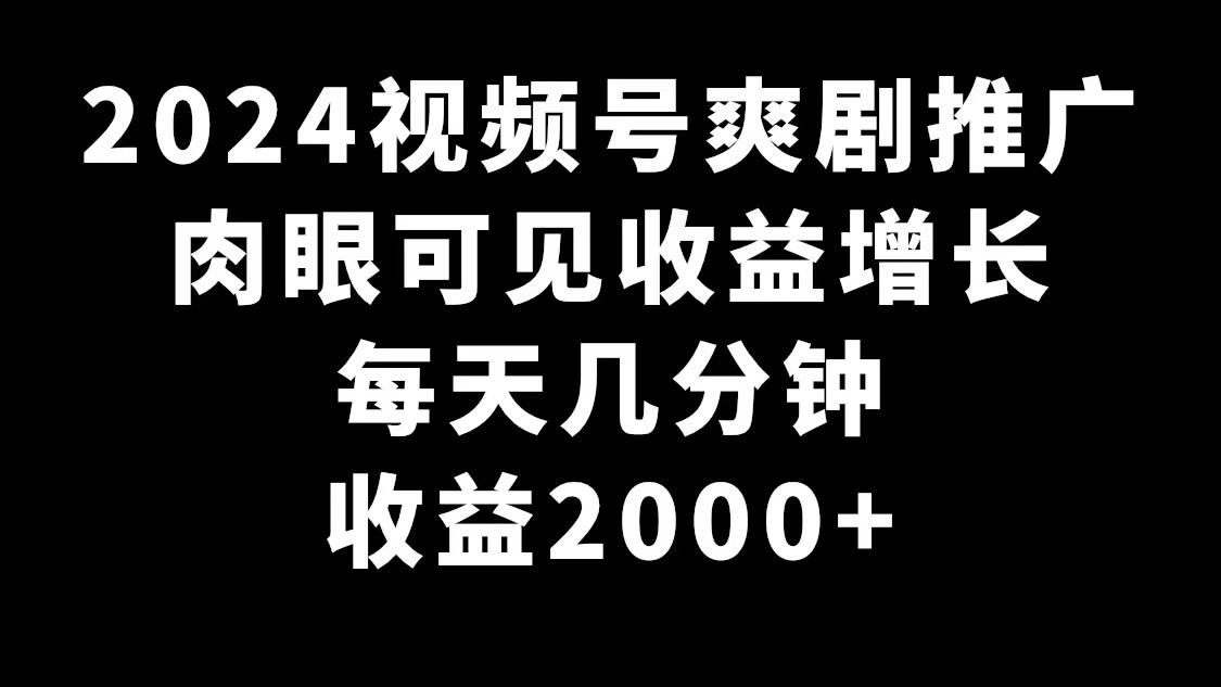 2024视频号爽剧推广，肉眼可见的收益增长，每天几分钟收益2000+-梦想波浪
