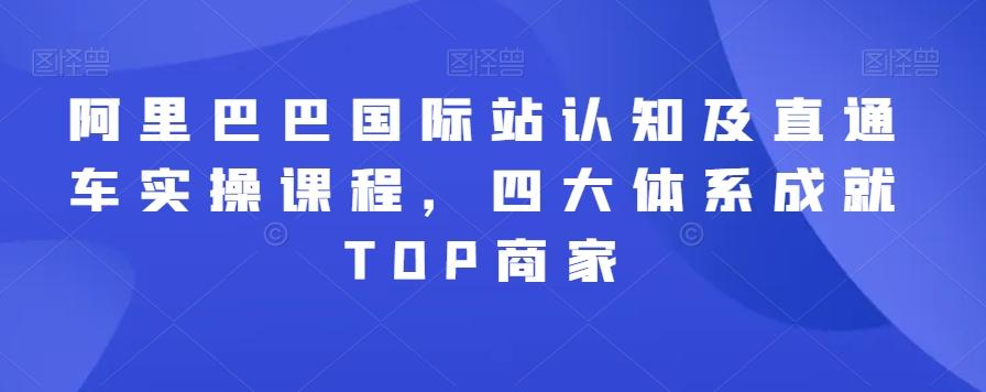阿里巴巴国际站认知及直通车实操课程,四大体系成就TOP商家-梦想波浪