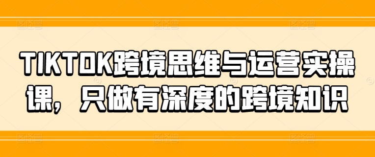 TIKTOK跨境思维与运营实操课，只做有深度的跨境知识-梦想波浪