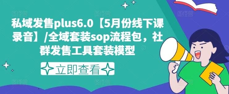 私域发售plus6.0【5月份线下课录音】/全域套装sop流程包，社群发售工具套装模型-梦想波浪