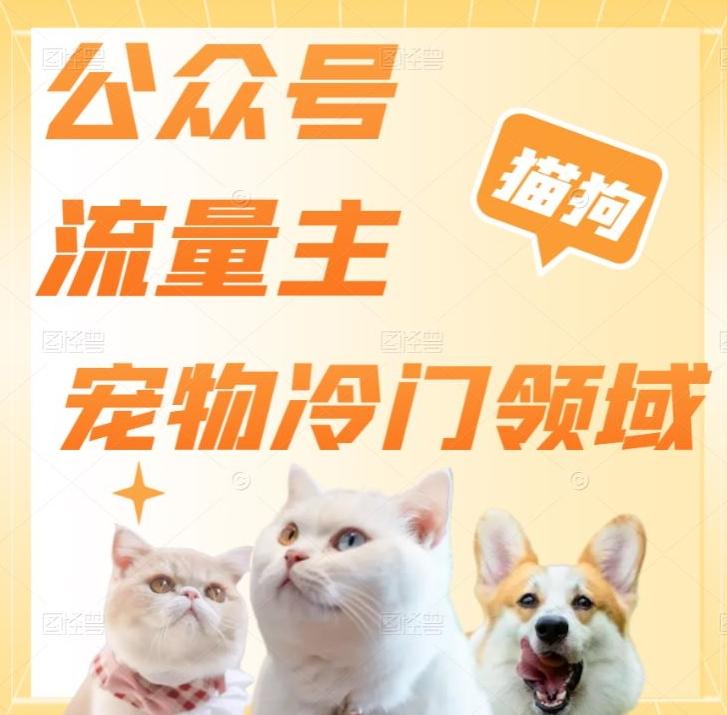 公众号流量主，萌宠冷门领域，单日收益2000+，简单暴力掘金，矩阵操作，无限放大收益！-梦想波浪