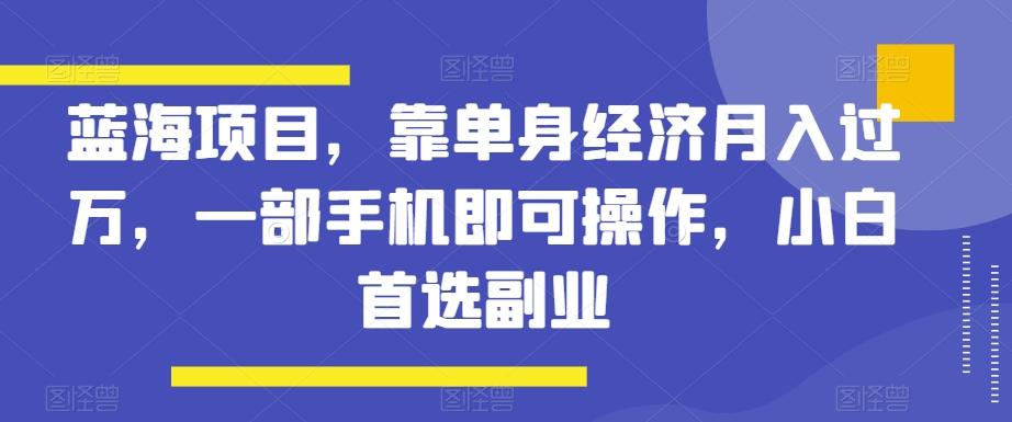 蓝海项目，靠单身经济月入过万，一部手机即可操作，小白首选副业【揭秘】-梦想波浪