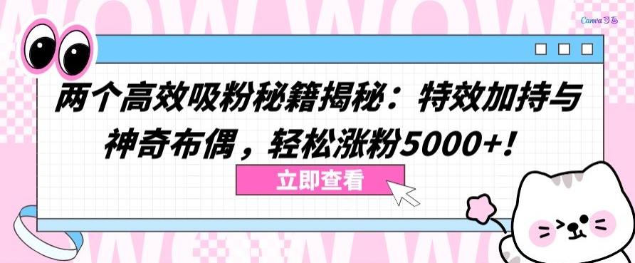 两个高效吸粉秘籍揭秘:特效加持与神奇布偶,轻松涨粉5000+【揭秘】-梦想波浪