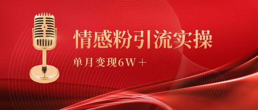 (9473期)单月变现6w+，情感粉引流变现实操课-梦想波浪