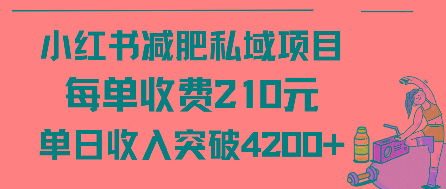 (9466期)小红书减肥私域项目每单收费210元单日成交20单，最高日入4200+-梦想波浪