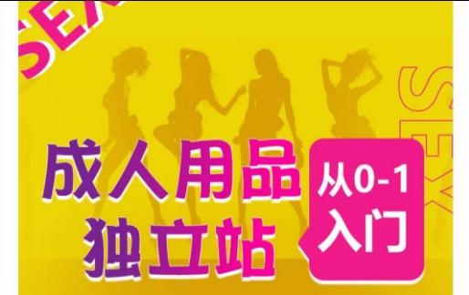 成人用品独立站从0-1入门,成品独立站运营全流程教学,七大好卖成品独立站推荐