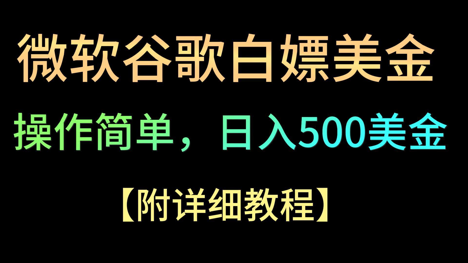 微软谷歌项目3.0，轻松日赚500+美金，操作简单，小白也可轻松入手！-梦想波浪