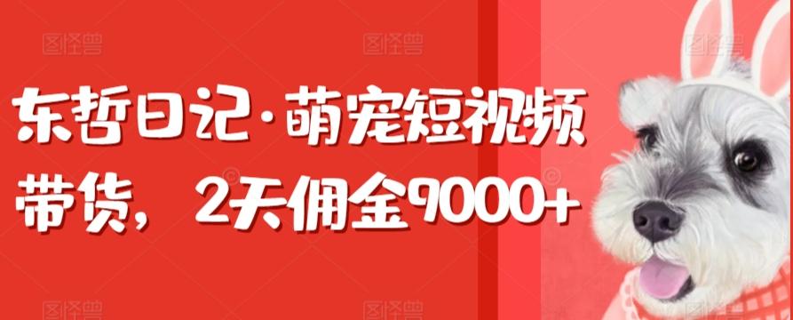 东哲日记·萌宠短视频带货,2天佣金9000+-梦想波浪