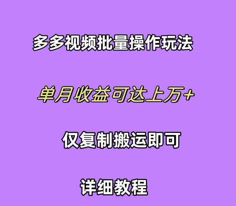 (10029期)拼多多视频带货快速过爆款选品教程 每天轻轻松松赚取三位数佣金 小白必…-梦想波浪
