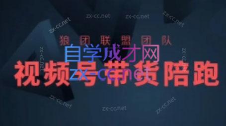 狼团联盟·2024视频号带货-梦想波浪