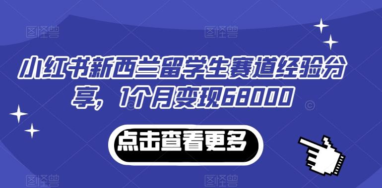 小红书新西兰留学生赛道经验分享，1个月变现68000【揭秘】-梦想波浪
