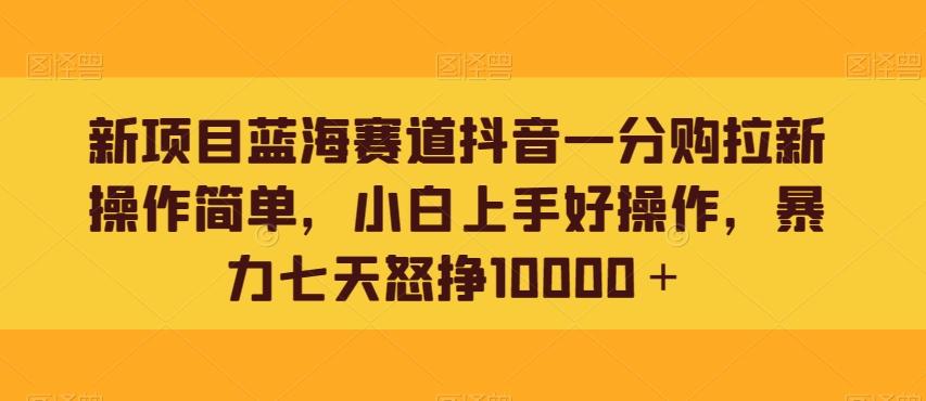 新项目蓝海赛道抖音一分购拉新操作简单，小白上手好操作，暴力七天怒挣10000＋-梦想波浪