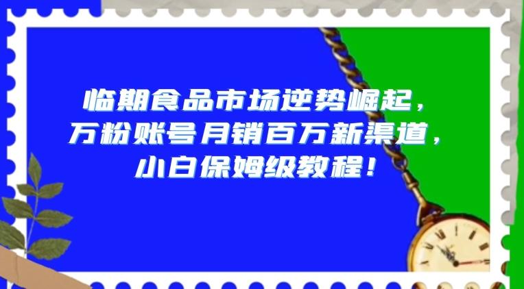 临期食品市场逆势崛起，万粉账号月销百万新渠道，小白保姆级教程【揭秘】-梦想波浪