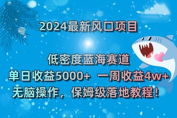 (8545期)2024最新风口项目 低密度蓝海赛道,日收益5000+周收益4w+ 无脑操作,保...-梦想波浪