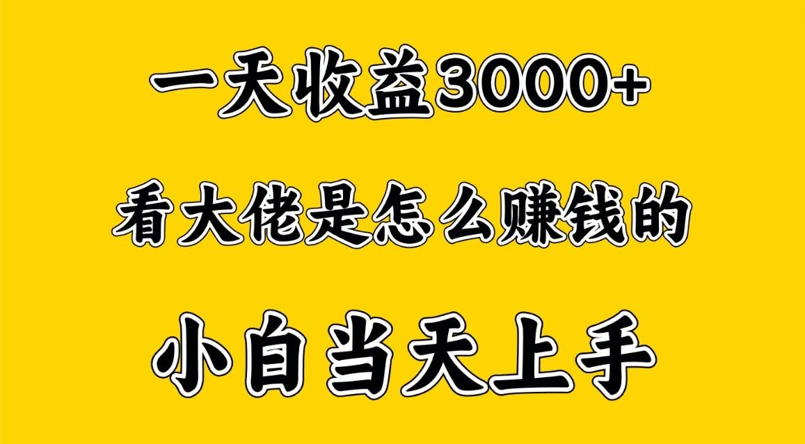 一天赚3000多，大佬是这样赚到钱的，小白当天上手，穷人翻身项目-梦想波浪