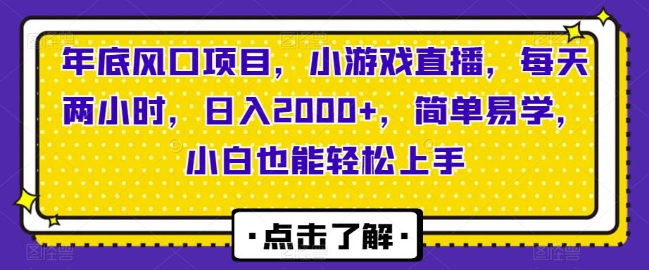 年底风口项目，小游戏直播，每天两小时，日入2000+，简单易学，小白也能轻松上手-梦想波浪