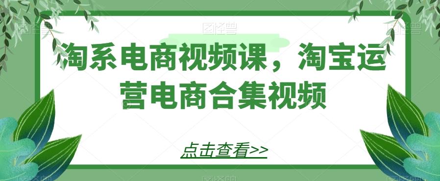 淘系电商视频课，淘宝运营电商合集视频-梦想波浪