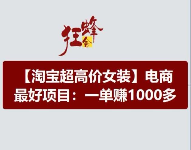 淘宝超高价女装项目，电商最好赛道，一单赚1000多-梦想波浪