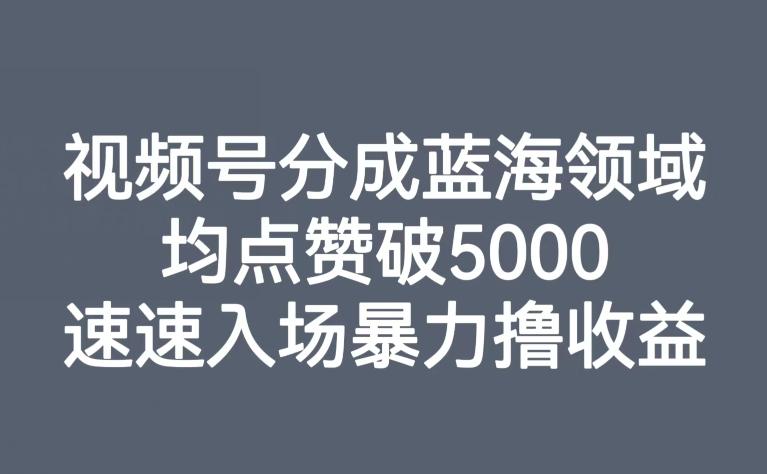 视频号分成蓝海领域，均点赞破5000，速速入场暴力撸收益-梦想波浪