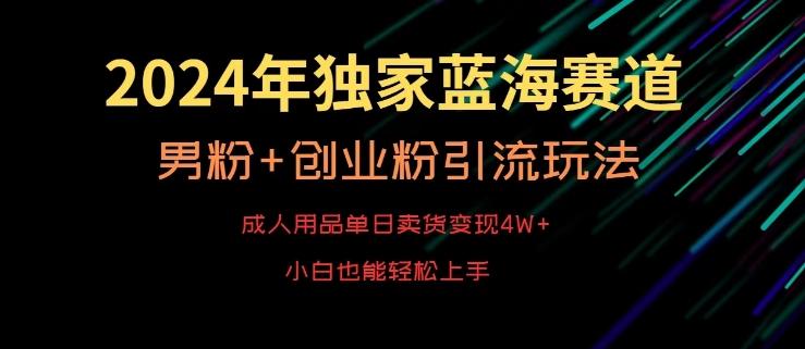 2024年独家蓝海赛道，成人用品单日卖货变现4W+，男粉+创业粉引流玩法，不愁搞不到流量【揭秘】-梦想波浪