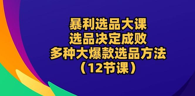 暴利 选品大课:选品决定成败,教你多种大爆款选品方法(12节课-梦想波浪