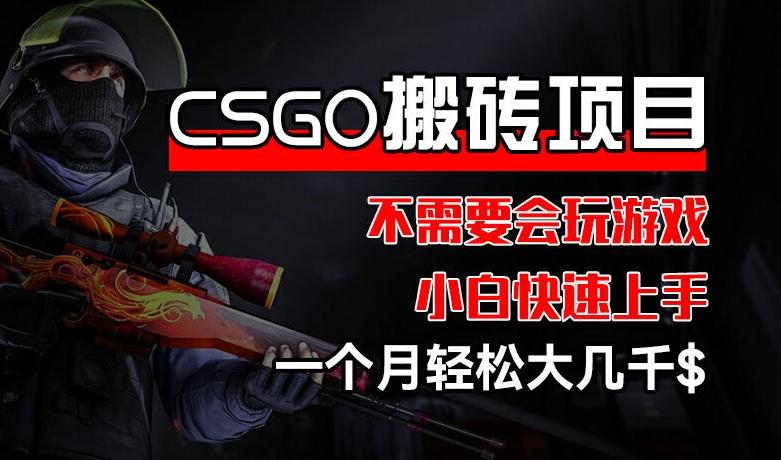 CSGO 装备搬砖项目,操作简单,不需要会玩游戏,小白也能快速上手,一个月轻松大几千【揭秘】-梦想波浪